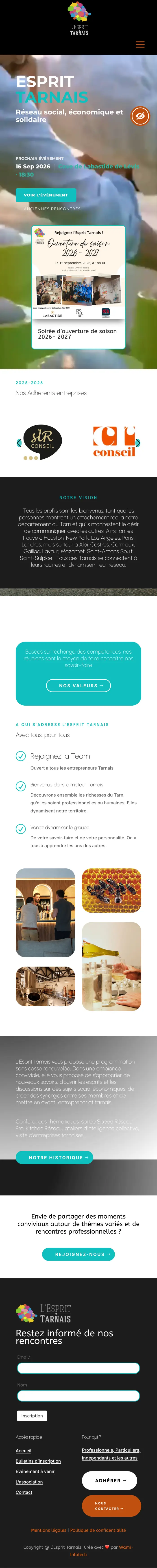 Page d’accueil mobile de L Esprit Tarnais